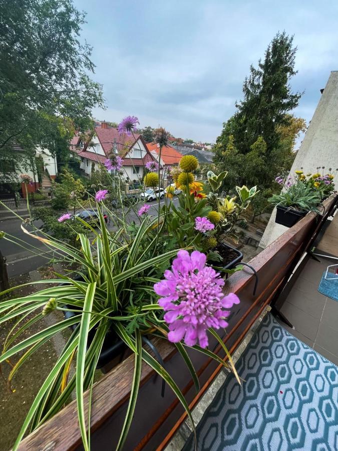 Greatforest Rosehill 1 Apartman 德布勒森 外观 照片